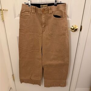 Democracy Tan Wide Leg Pants with "Ab" Technology